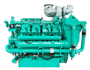 Electronic fuel injection diesel engine