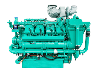 Electronic fuel injection diesel engine