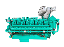 Electronic fuel injection diesel engine