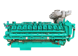 Electronic fuel injection diesel engine